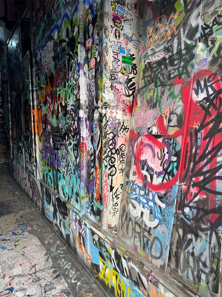 f:id:pinocopon:20240726173228j:image