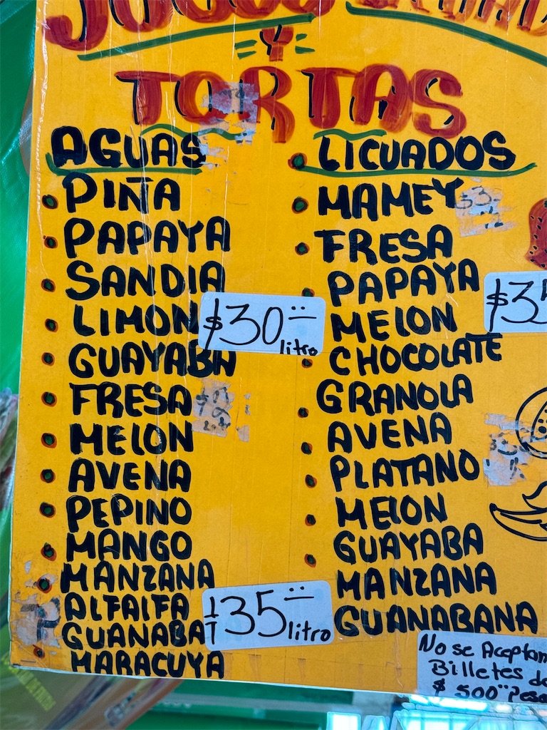 f:id:pinocopon:20240726173242j:image