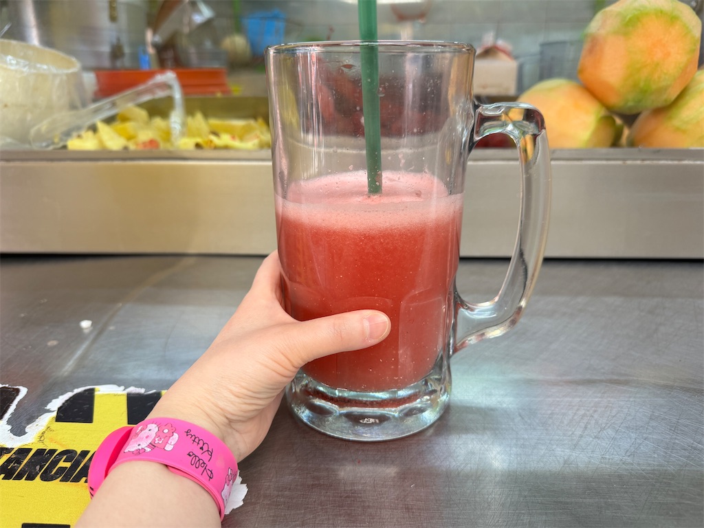 f:id:pinocopon:20240726173306j:image