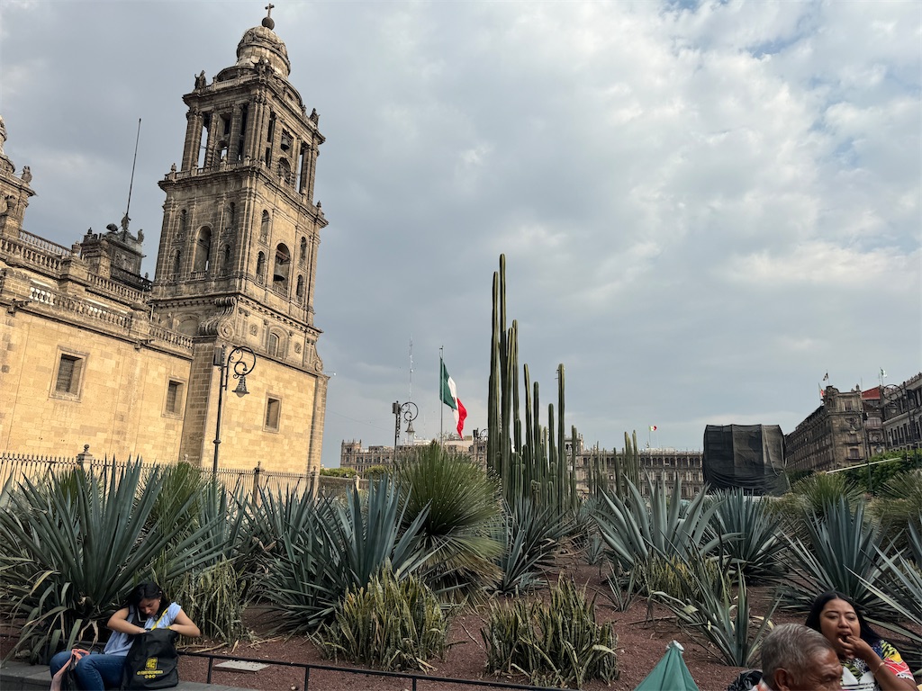 f:id:pinocopon:20240726173321j:image