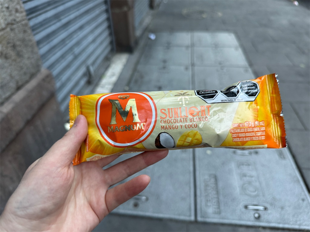 f:id:pinocopon:20240726173324j:image