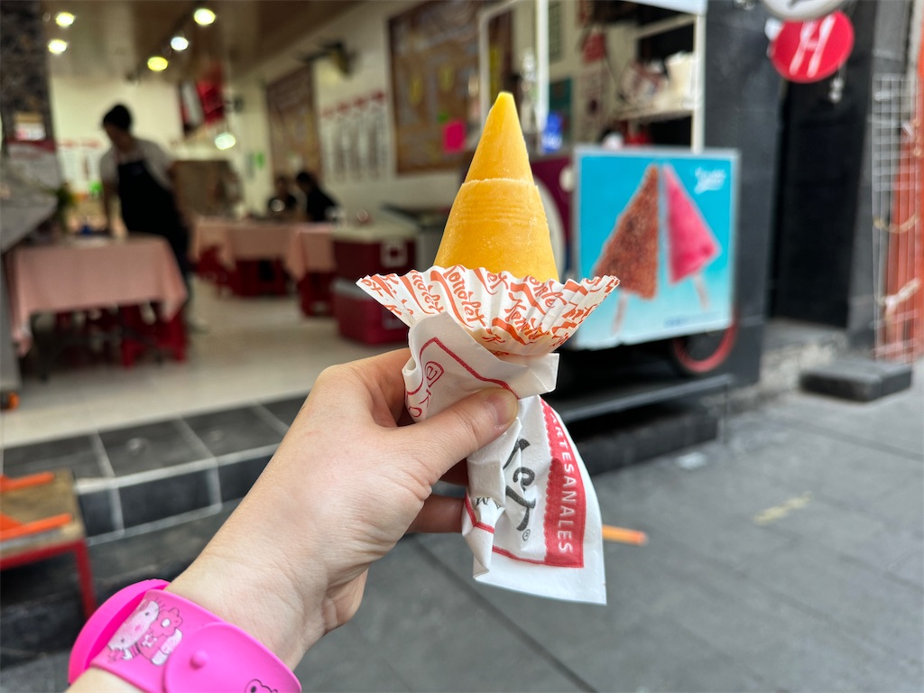 f:id:pinocopon:20240726173327j:image