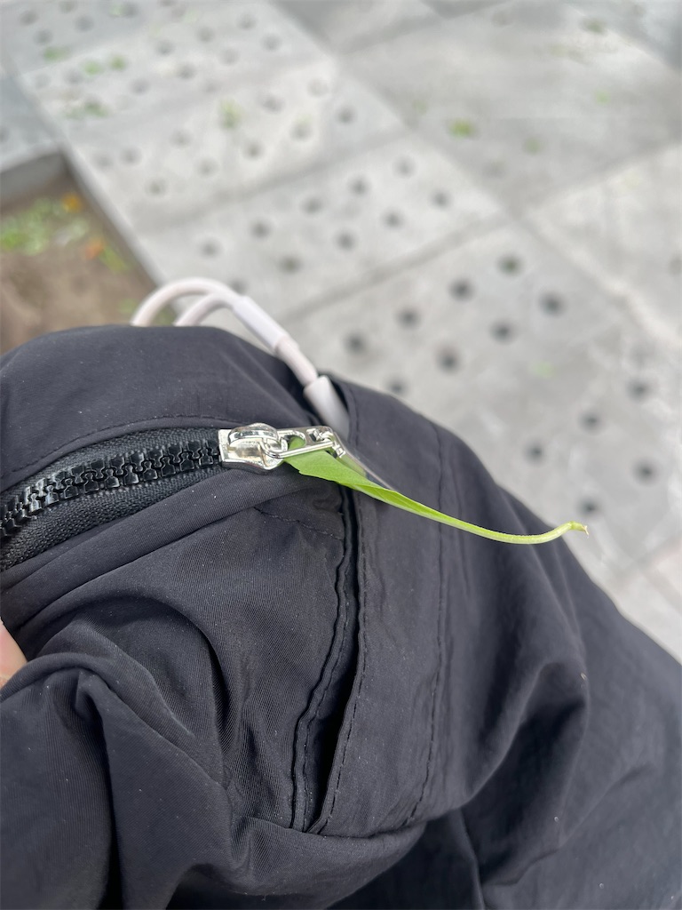 f:id:pinocopon:20240726173337j:image