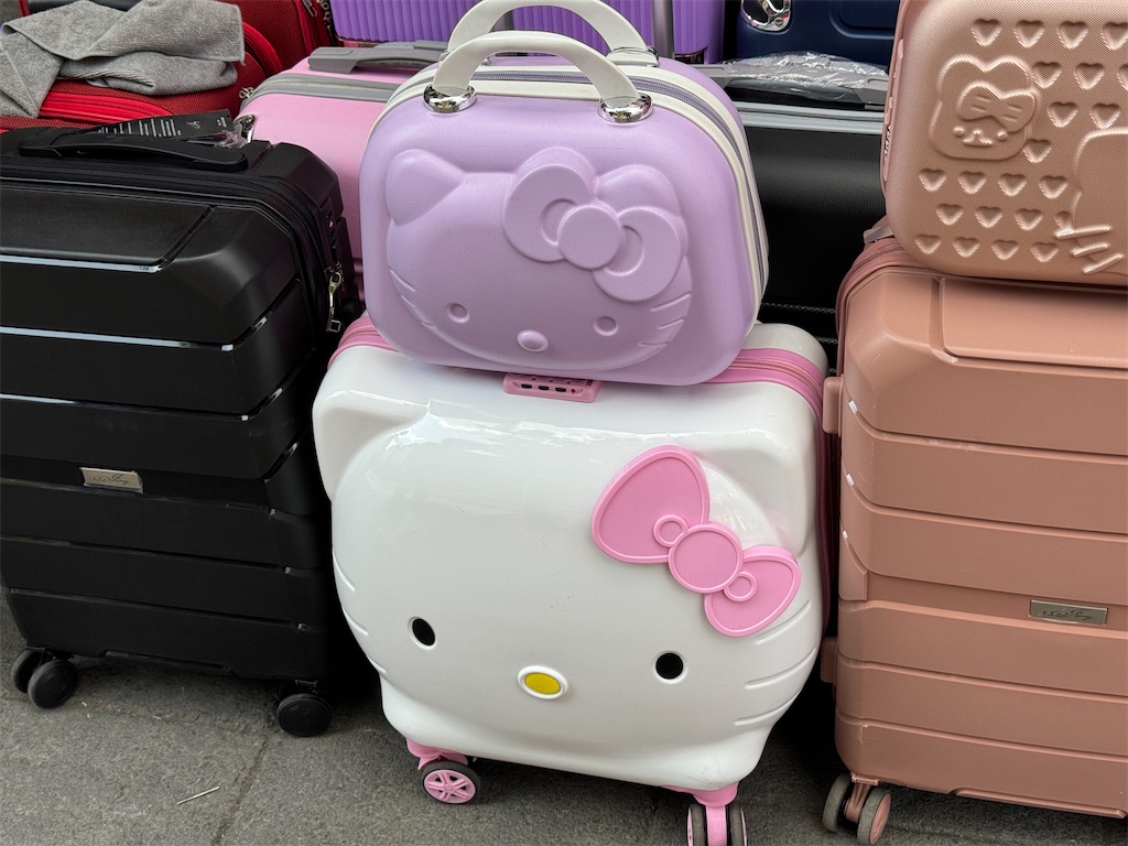 f:id:pinocopon:20240726173343j:image