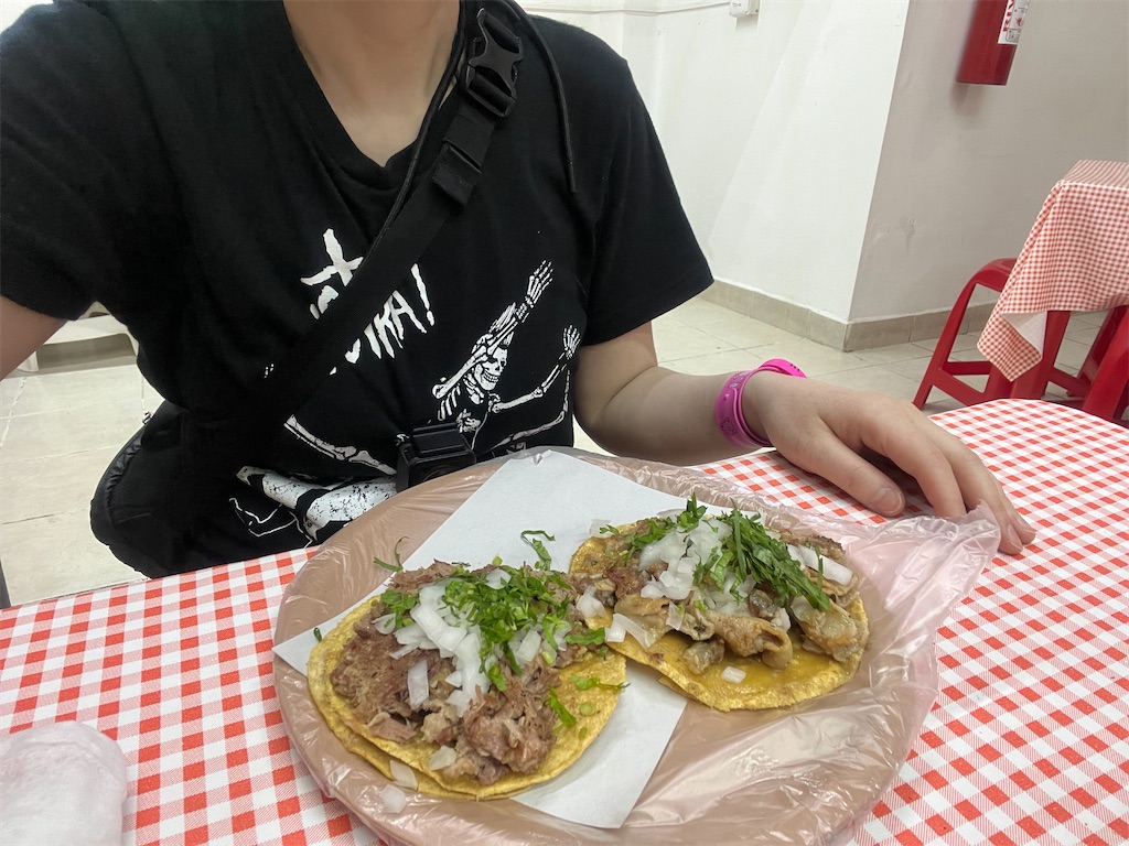 f:id:pinocopon:20240726173350j:image