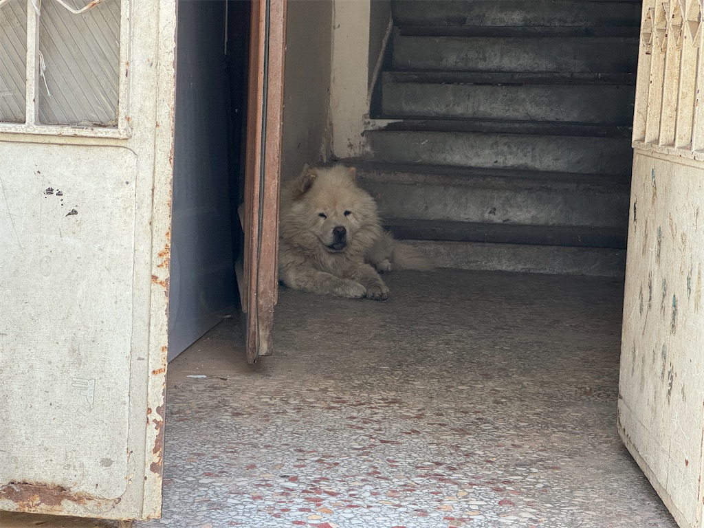 f:id:pinocopon:20240805123033j:image f:id:pinocopon:20240805123033j:image
