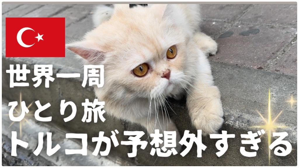 f:id:pinocopon:20240816140656j:image f:id:pinocopon:20240816140656j:image