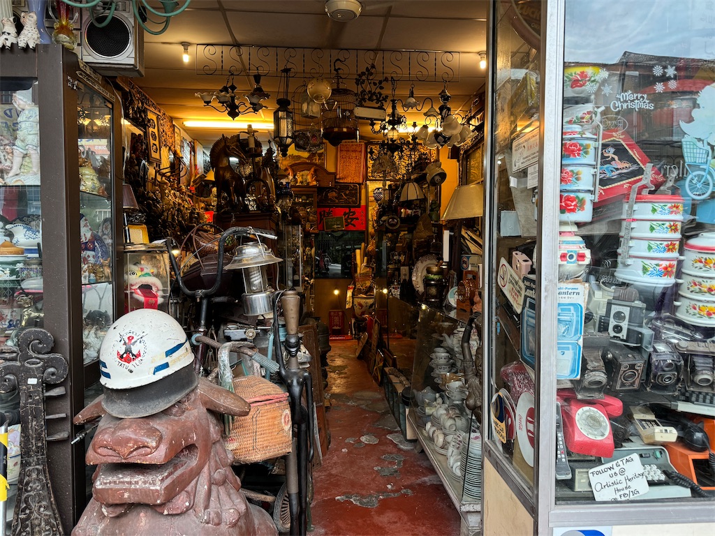 f:id:pinocopon:20241124195919j:image