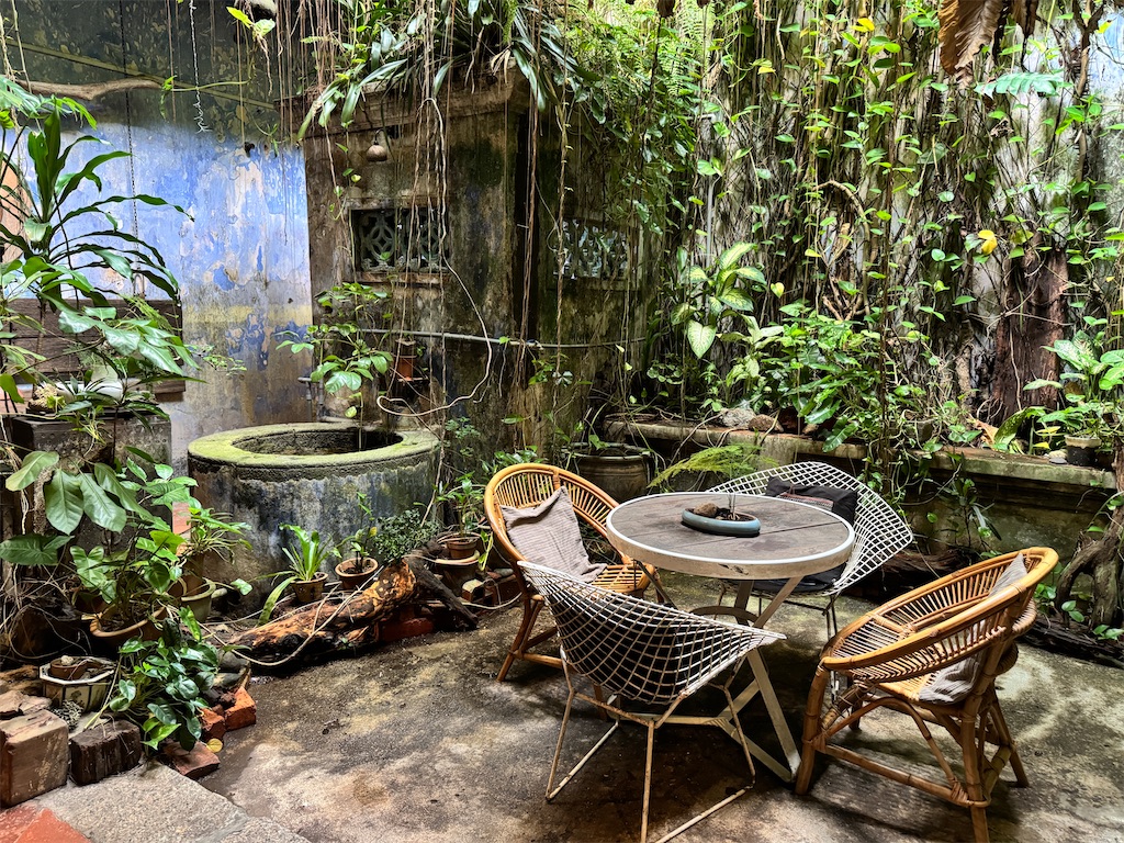 f:id:pinocopon:20241124200209j:image