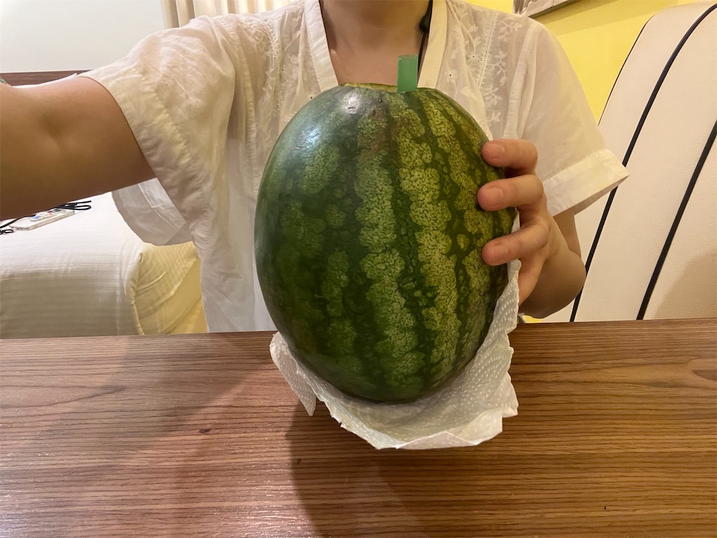 f:id:pinocopon:20241124221355j:image