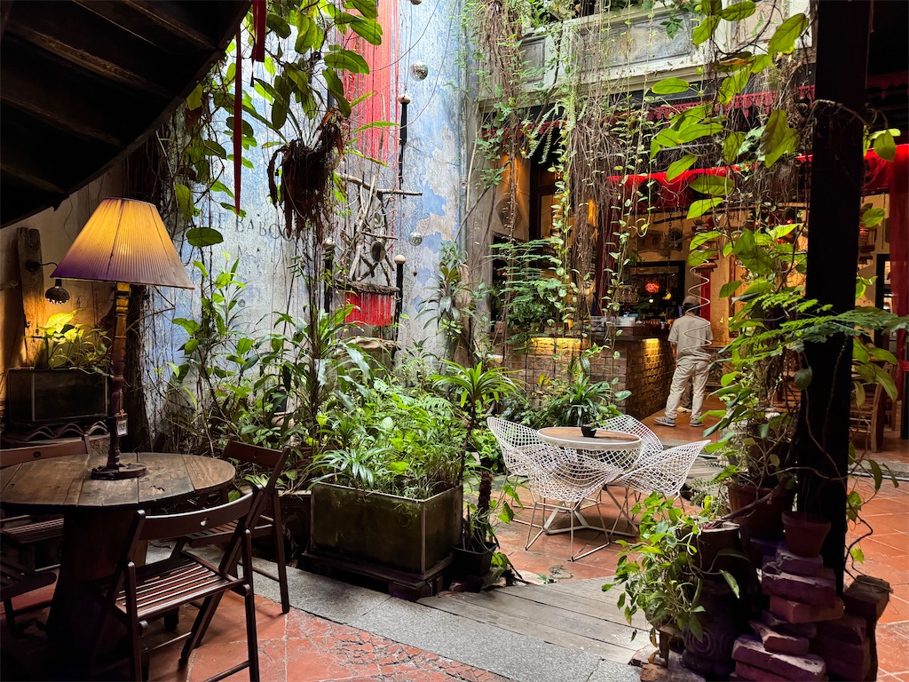 f:id:pinocopon:20241124223049j:image