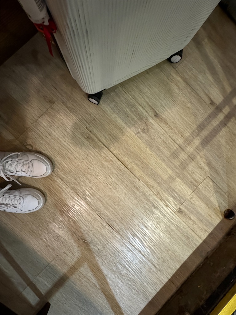f:id:pinocopon:20241213225951j:image f:id:pinocopon:20241213225951j:image