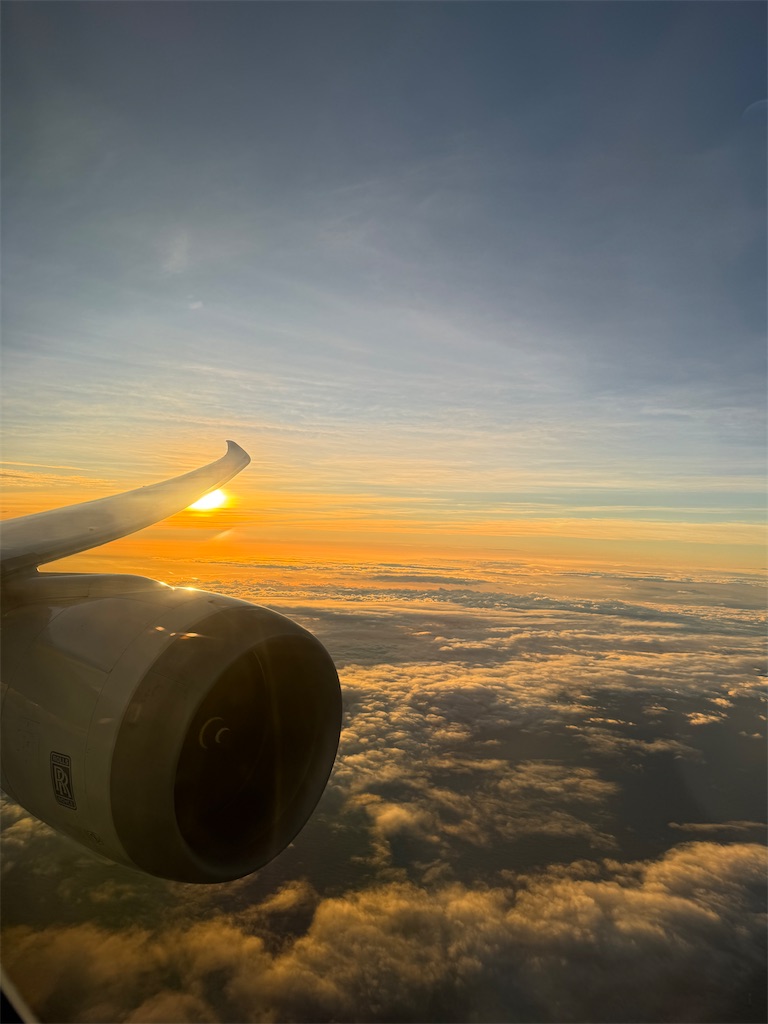 f:id:pinocopon:20250105073041j:image