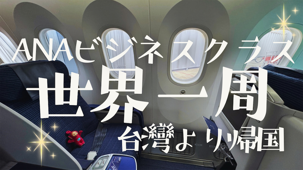 f:id:pinocopon:20250109181957p:image