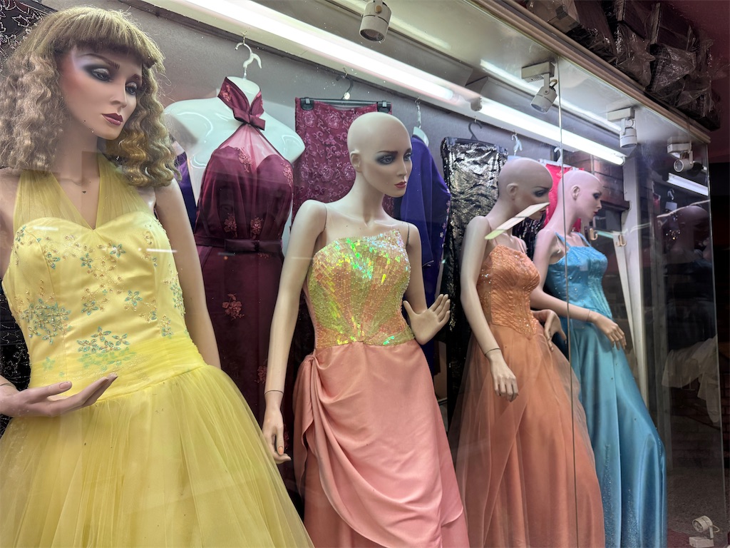 f:id:pinocopon:20250127075355j:image f:id:pinocopon:20250127075355j:image