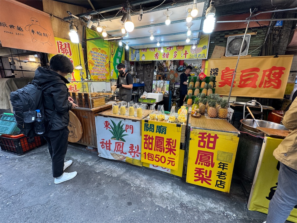 f:id:pinocopon:20250202225655j:image