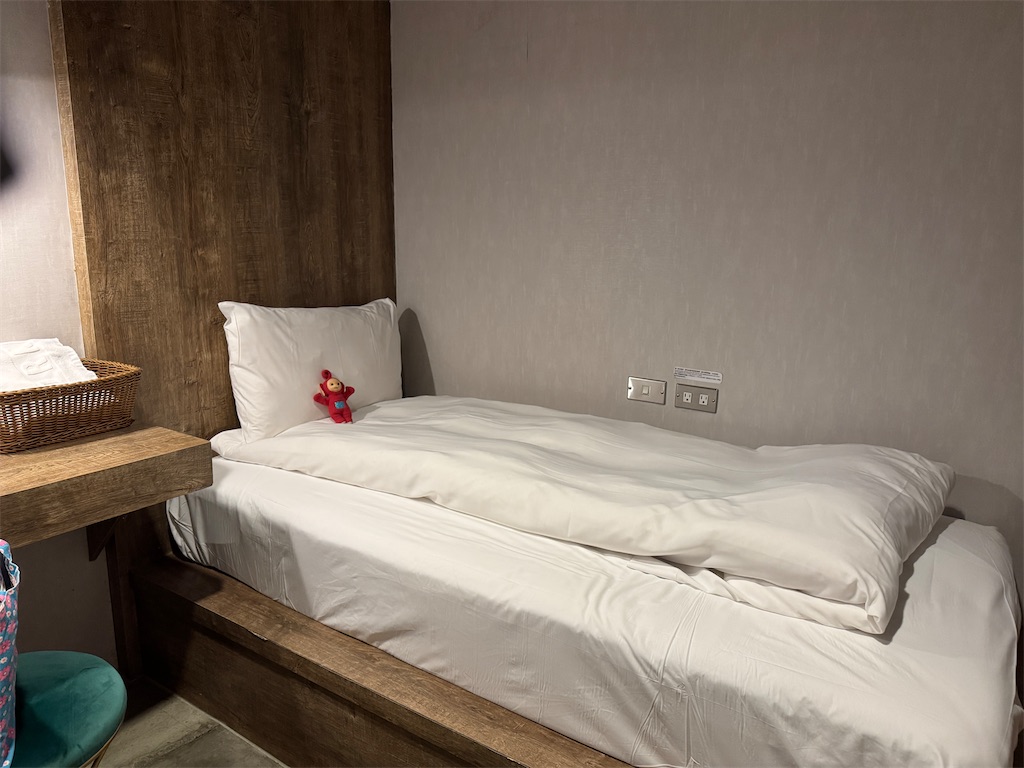 f:id:pinocopon:20250307000926j:image