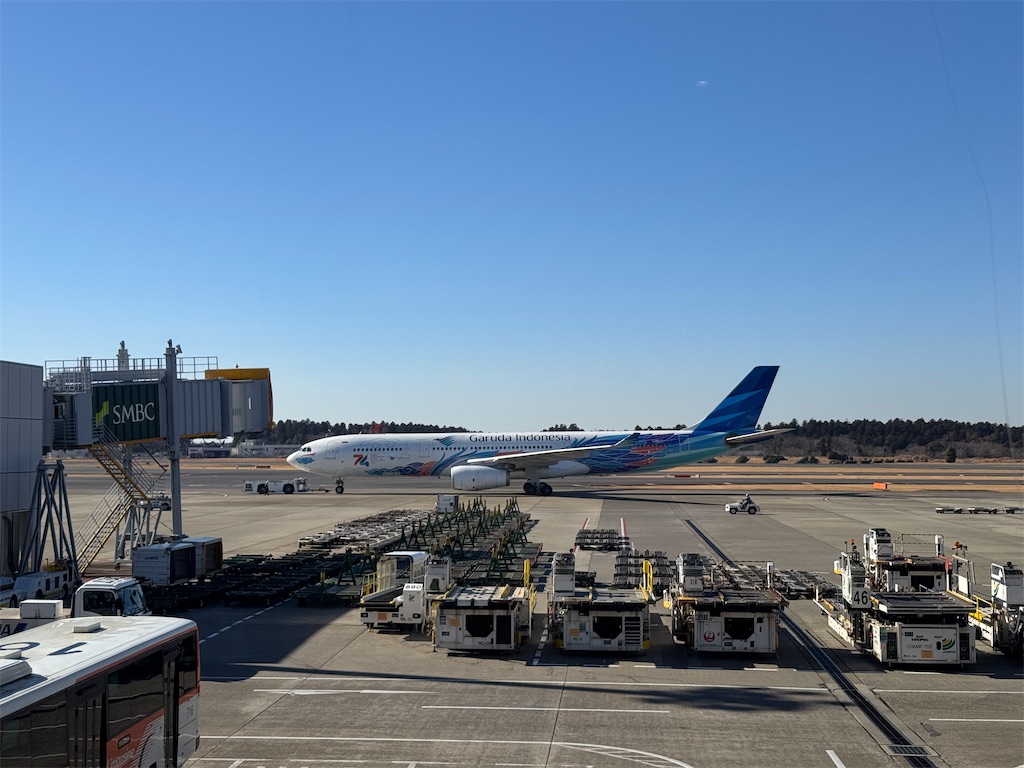 f:id:pinocopon:20250307000930j:image