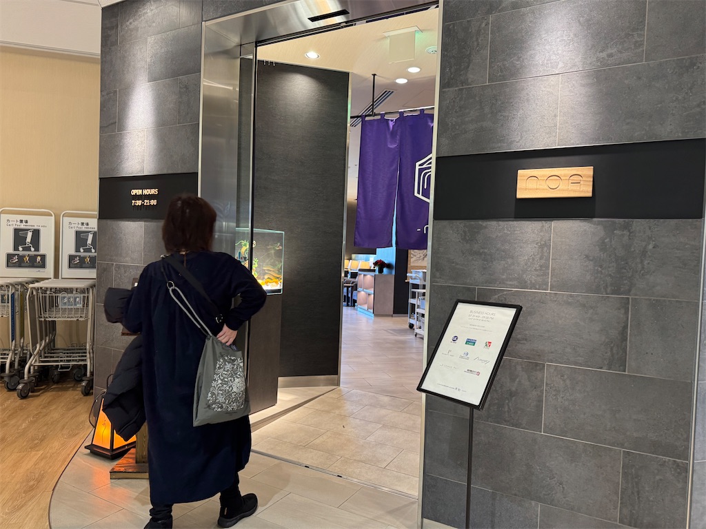 f:id:pinocopon:20250307072554j:image