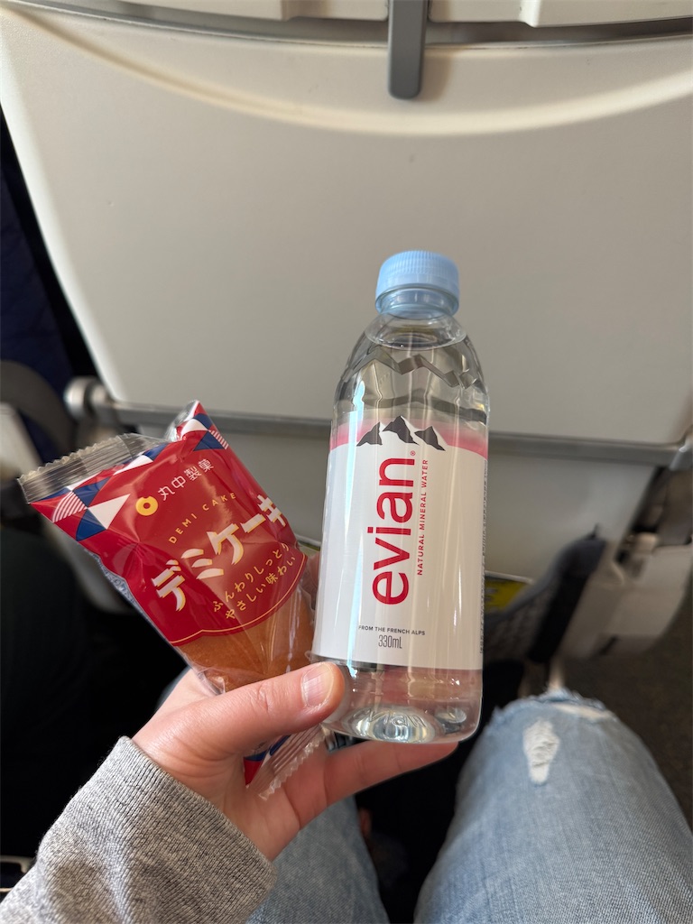 f:id:pinocopon:20250308174542j:image