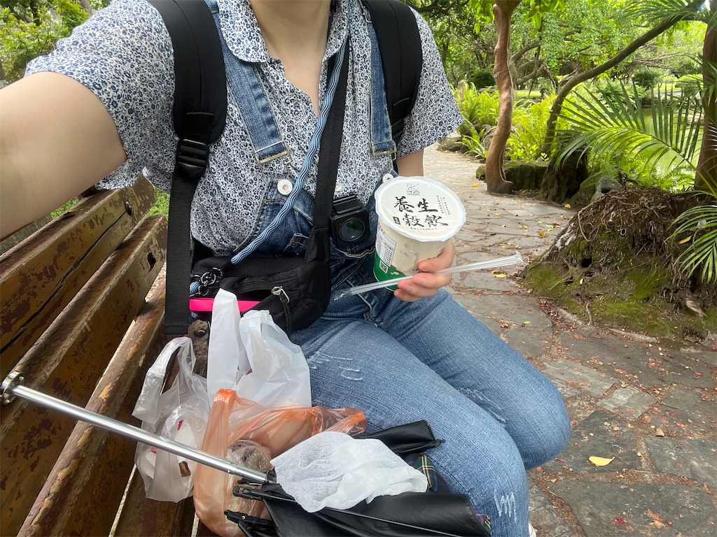 f:id:pinocopon:20250919173230j:image