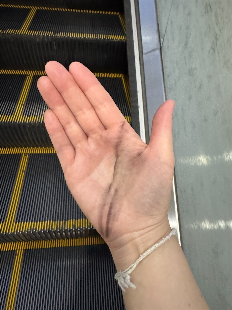 f:id:pinocopon:20251019124116j:image