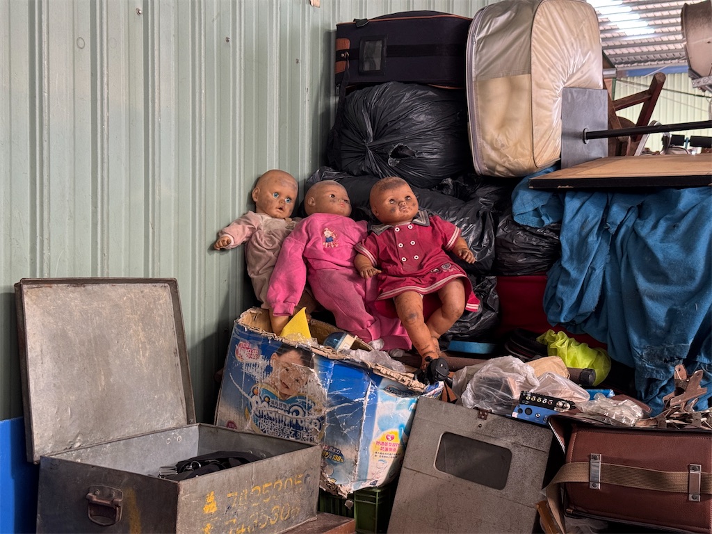 f:id:pinocopon:20251019124224j:image