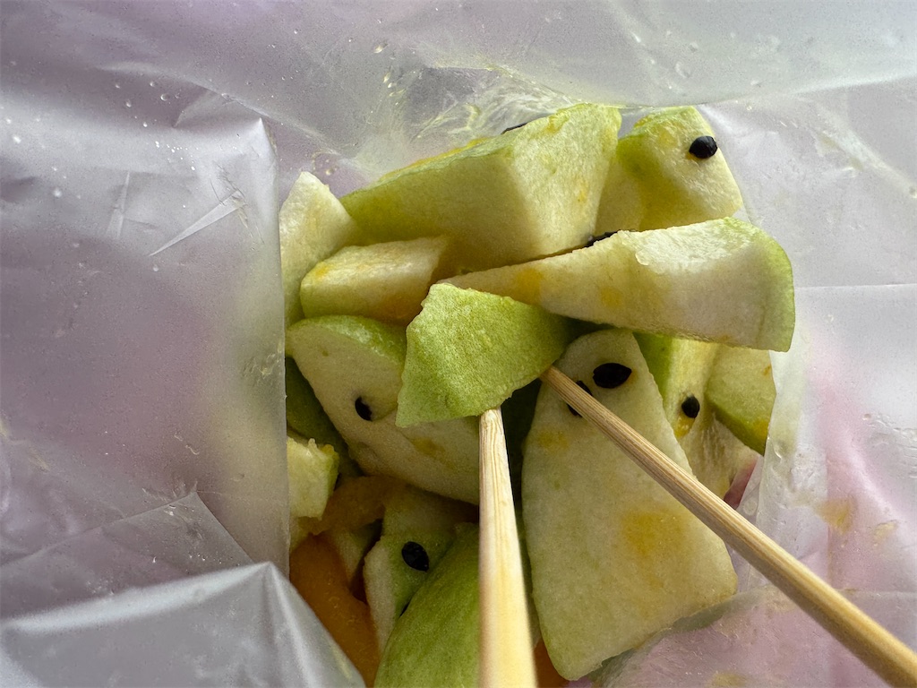 f:id:pinocopon:20251019144346j:image