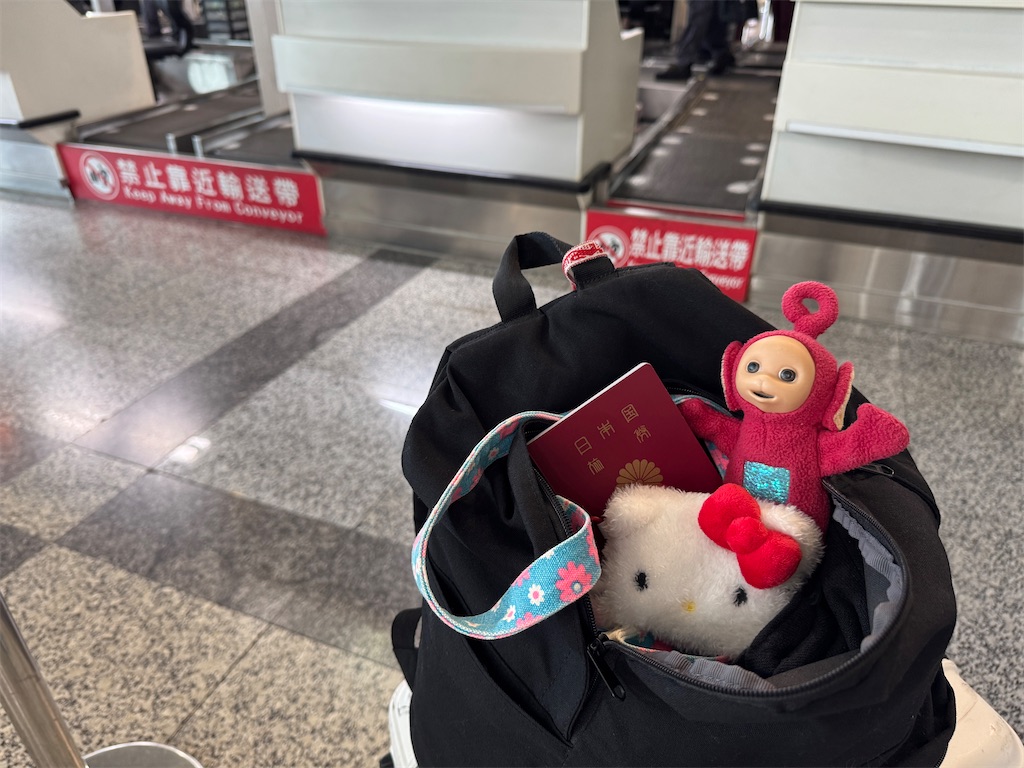 f:id:pinocopon:20251019145259j:image