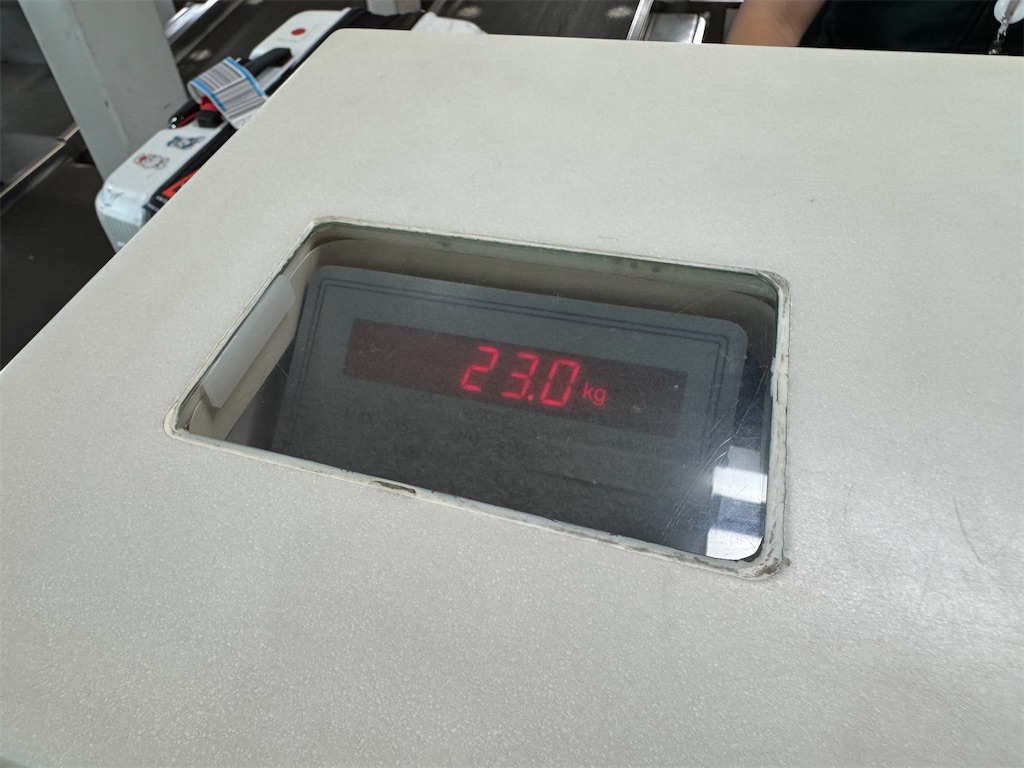 f:id:pinocopon:20251019145323j:image