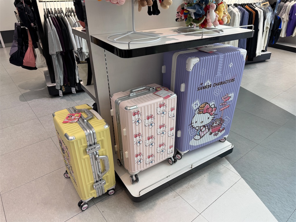 f:id:pinocopon:20251019150810j:image