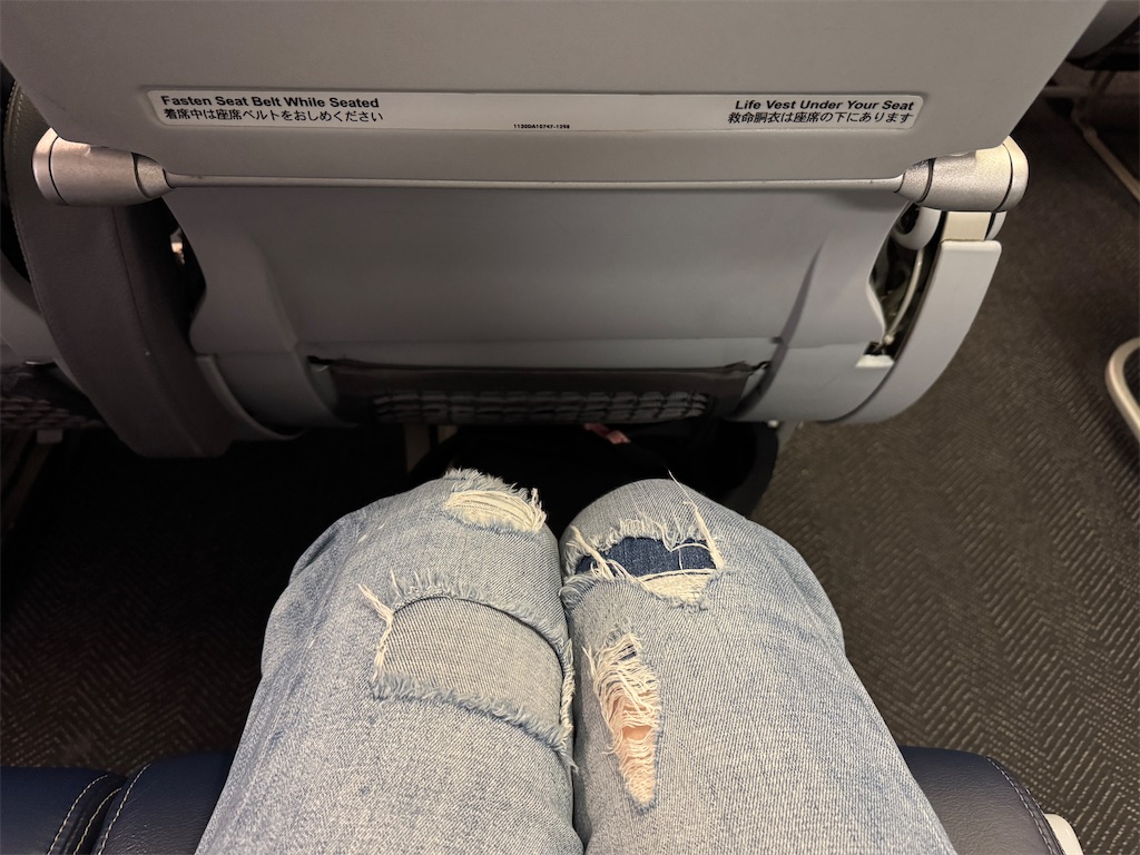 f:id:pinocopon:20251019151106j:image