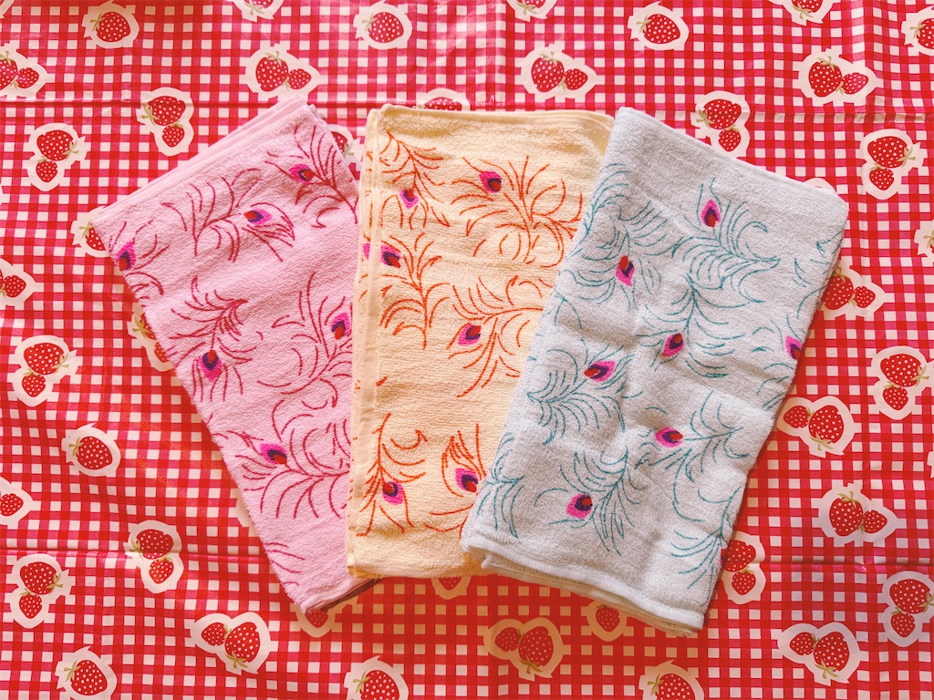 f:id:pinocopon:20260126192646j:image