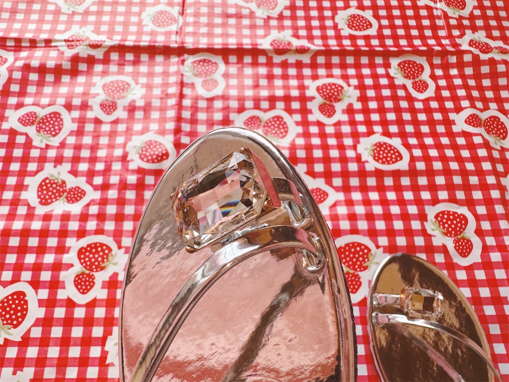 f:id:pinocopon:20260126192651j:image