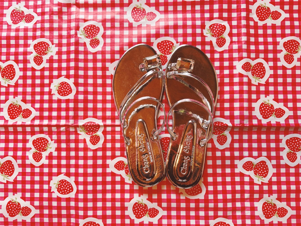 f:id:pinocopon:20260126192710j:image