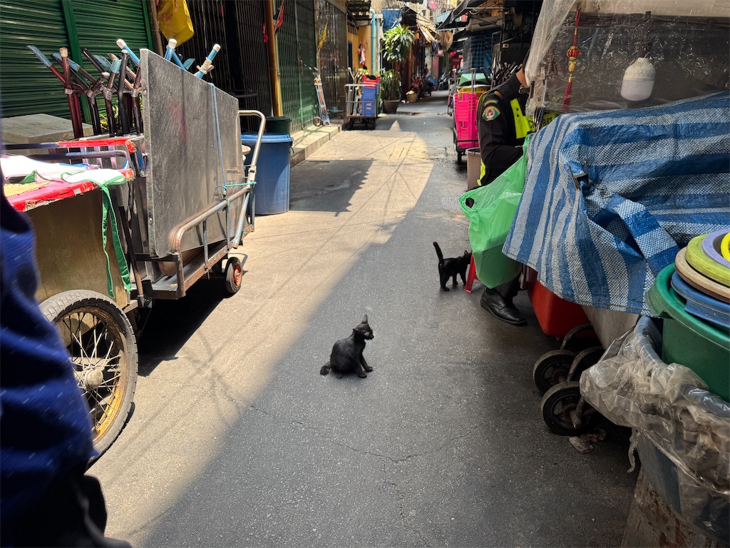 f:id:pinocopon:20260626160121j:image