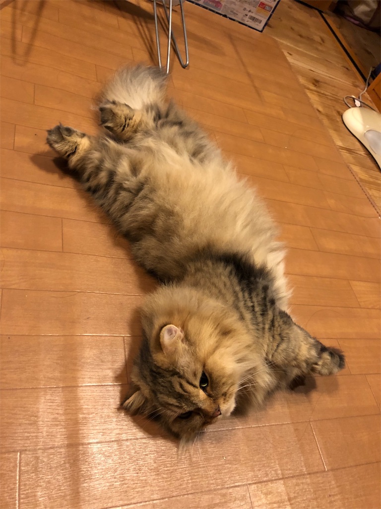 f:id:pinoemon:20191002082719j:image f:id:pinoemon:20191002082719j:image