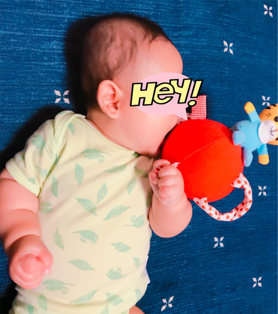 f:id:pinopinoko:20180604101137j:image f:id:pinopinoko:20180604101137j:image