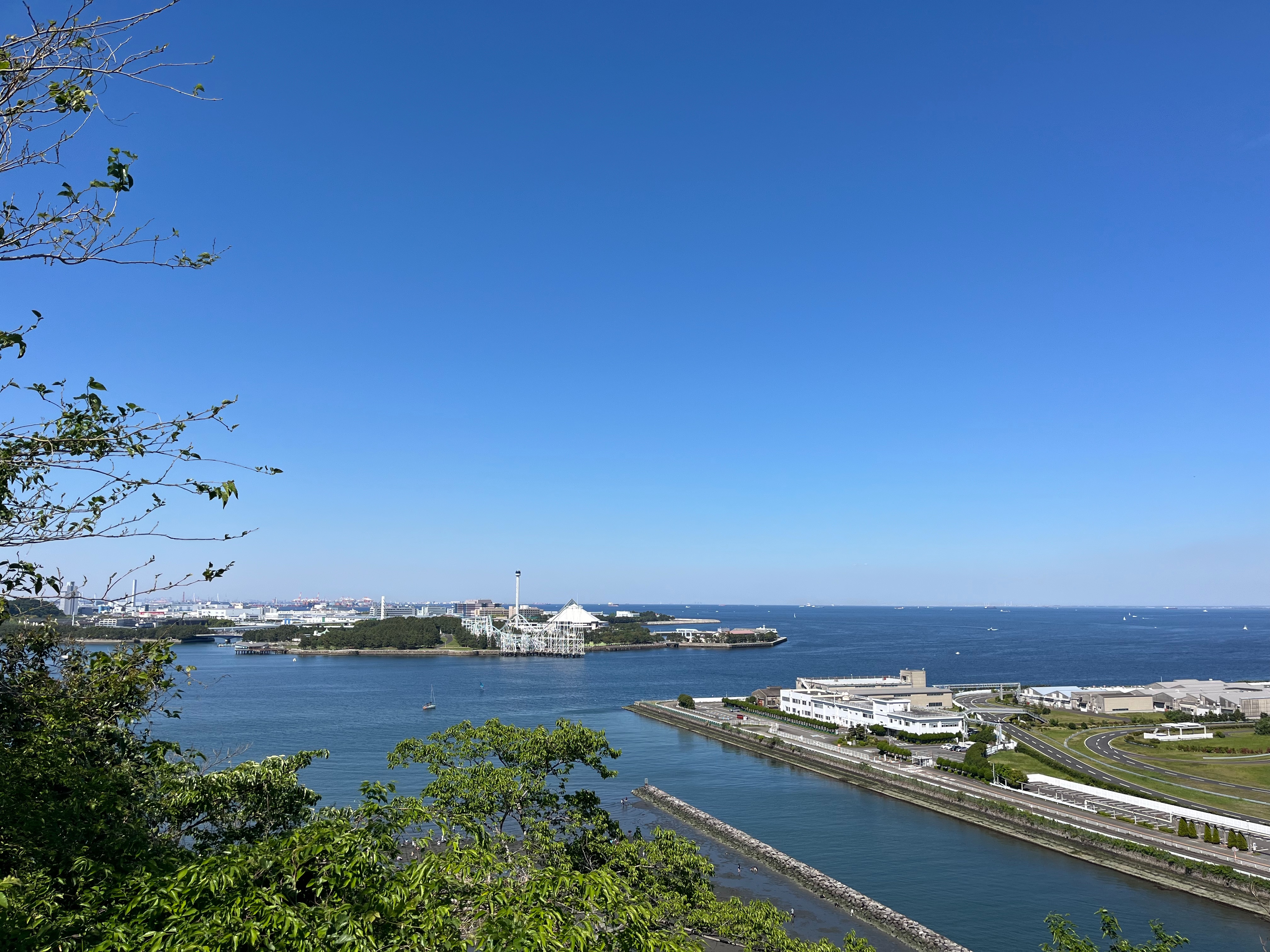 f:id:pinopinotan:20260506223427j:image