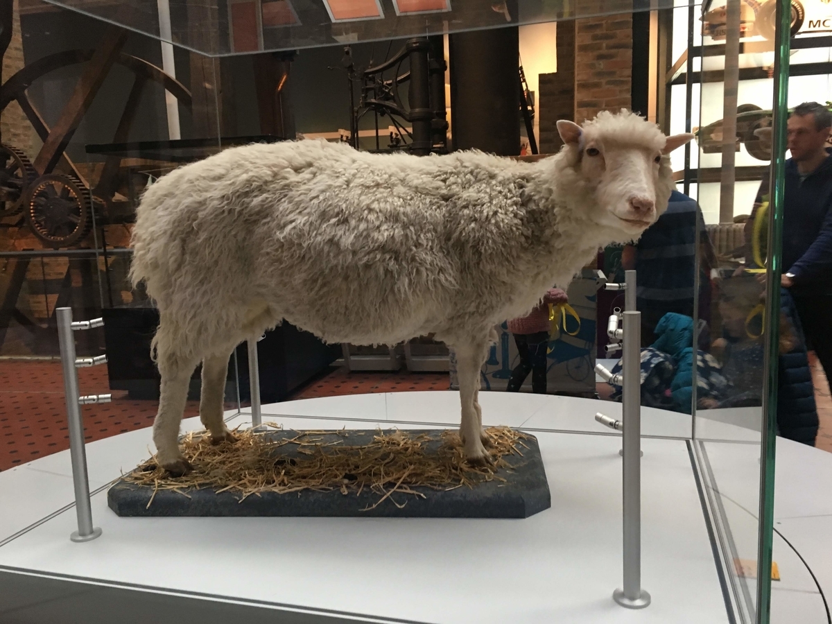 f:id:pinoworld:20200709201639j:plain