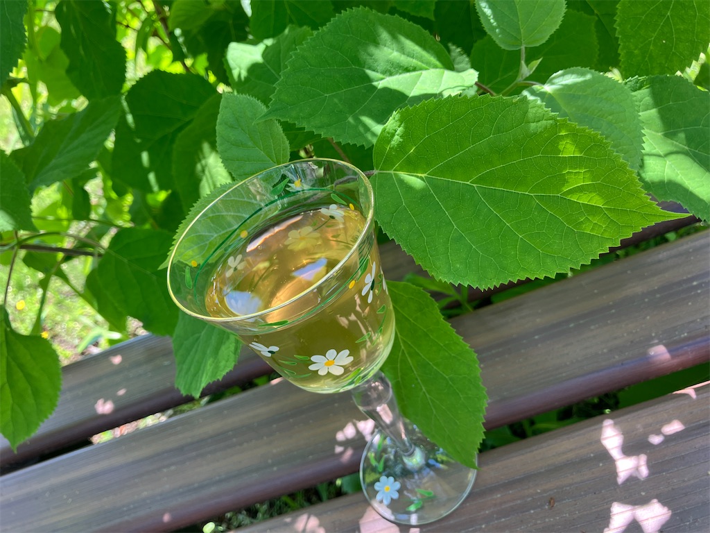 f:id:pinpinpoo:20250508133236j:image