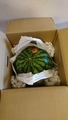 20190804003530