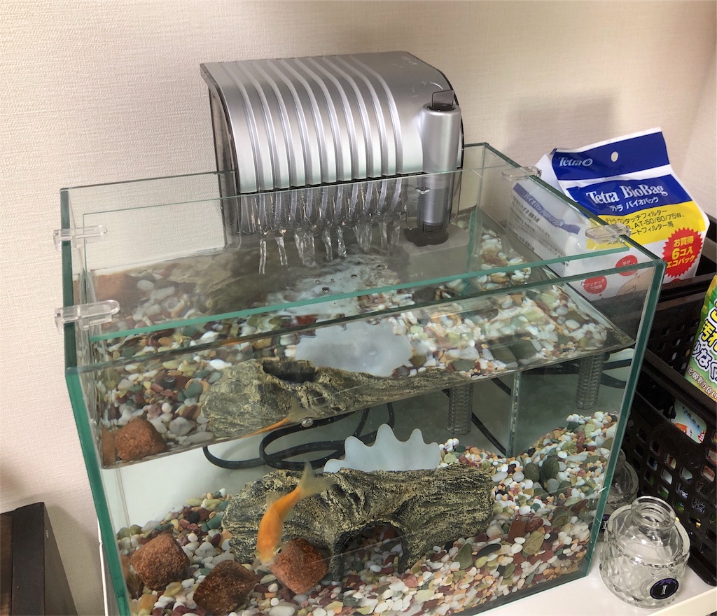 金魚の水槽ろ過装置失敗したくないなら Tetra テトラ を買うべき あめの音ブログ