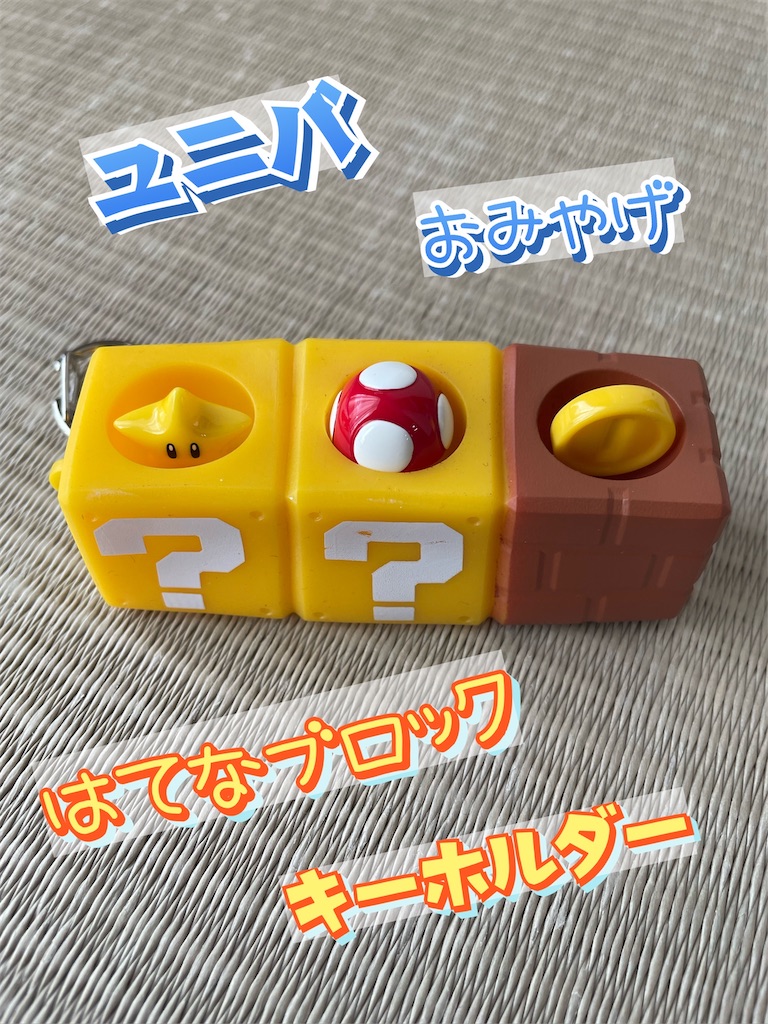 ユニバ】おみやげ「はてなブロックキーホルダー」買った - あめの音ブログ