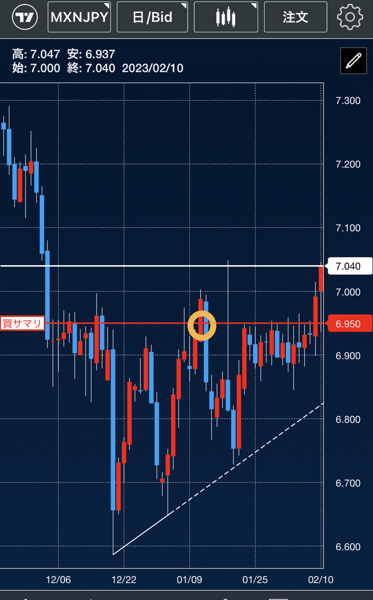FXスワップ生活１ヶ月後の結果 - MGTで生涯おじさん宣言