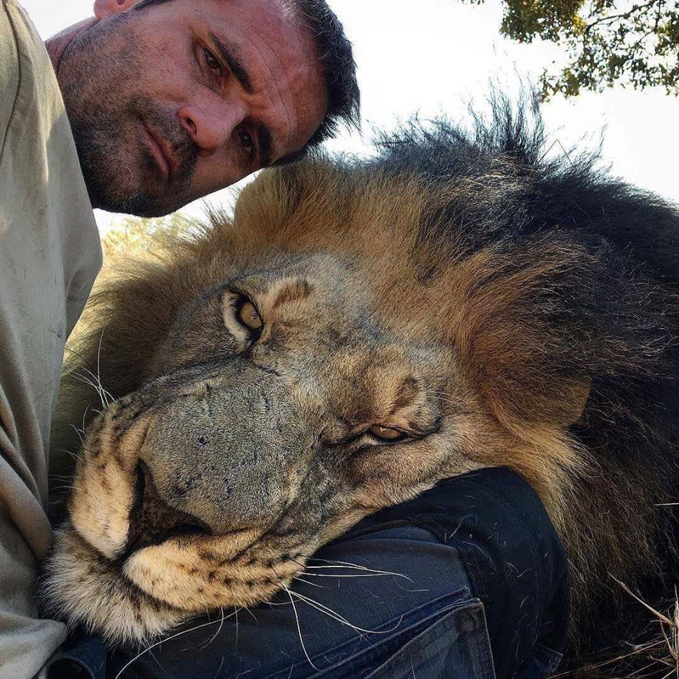 これがペットですか 愛に恋