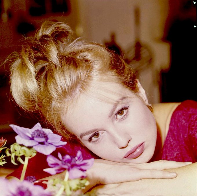 ミレーヌ・ドモンジョ Part.3 - 愛に恋