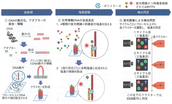 メーカー開発職の奮闘記