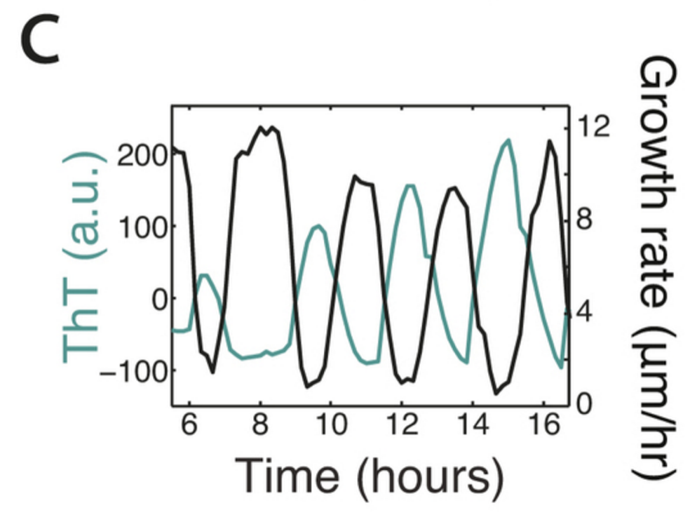 f:id:pioneerboy:20151213233150p:plain