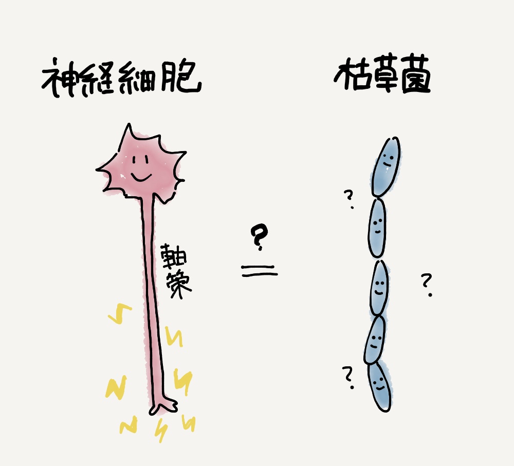 f:id:pioneerboy:20181223103151j:plain